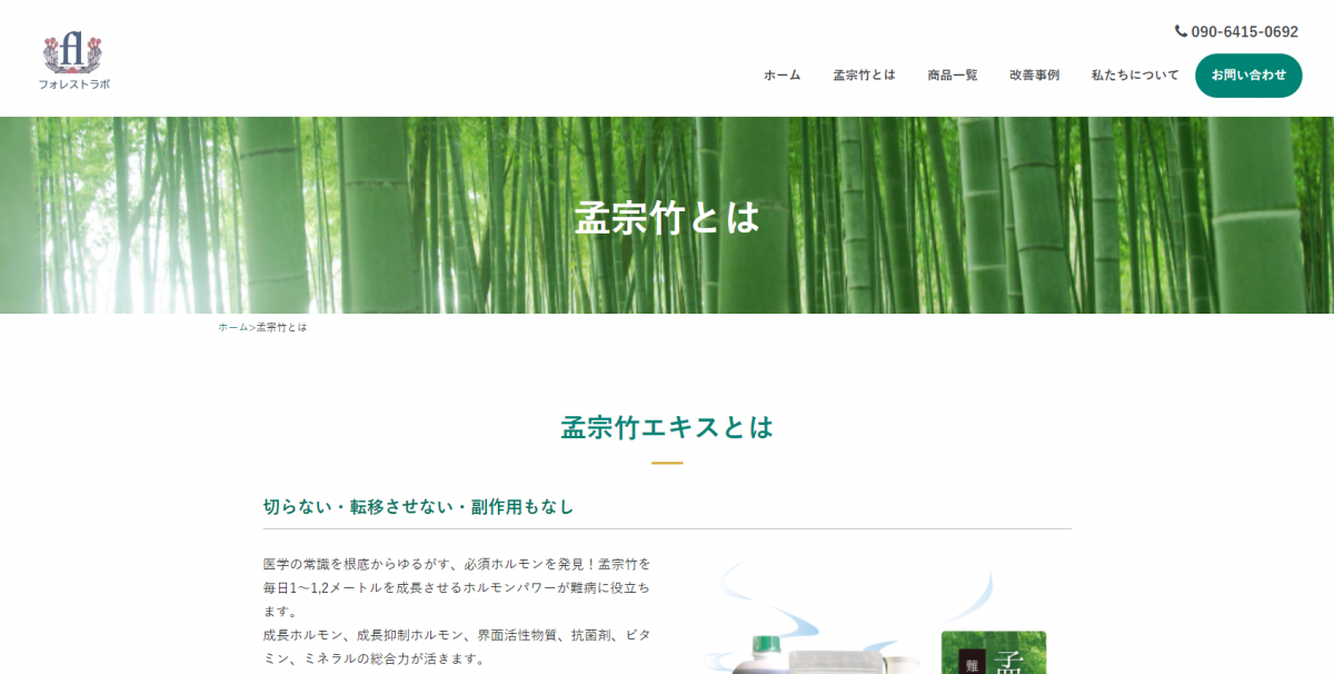 フォレストラボ 孟宗竹とは