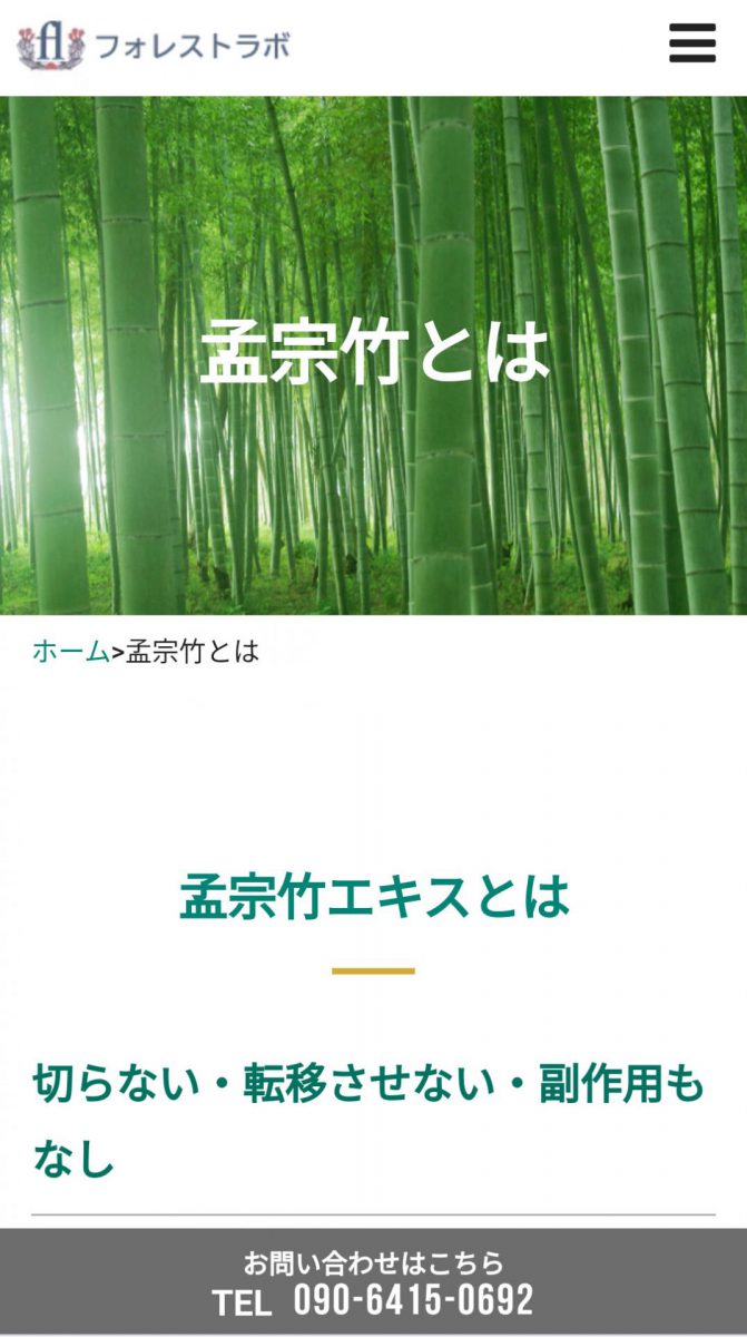 フォレストラボ スマホ画面 孟宗竹とは